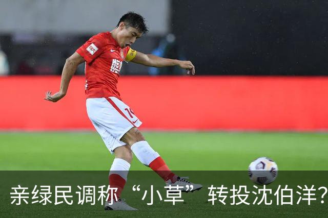 亲绿民调称“小草”转投沈伯洋？黄国昌:曹兴诚出资的没必要分析