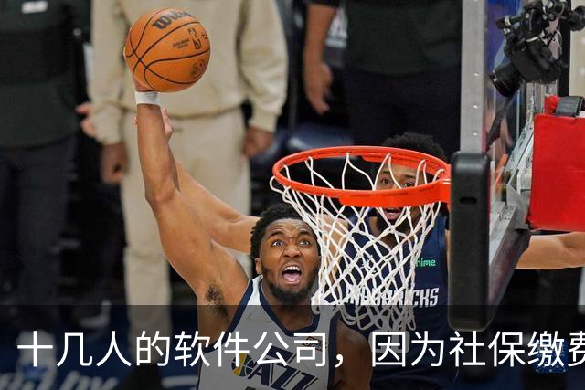十几人的软件公司，因为社保缴费基数要调整，一年要增加50万成本